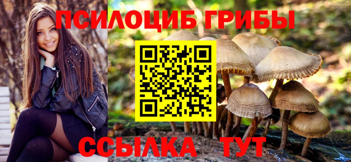 Псилоцибиновые грибы Magic Shrooms  Вход с VPN  Зерноград 